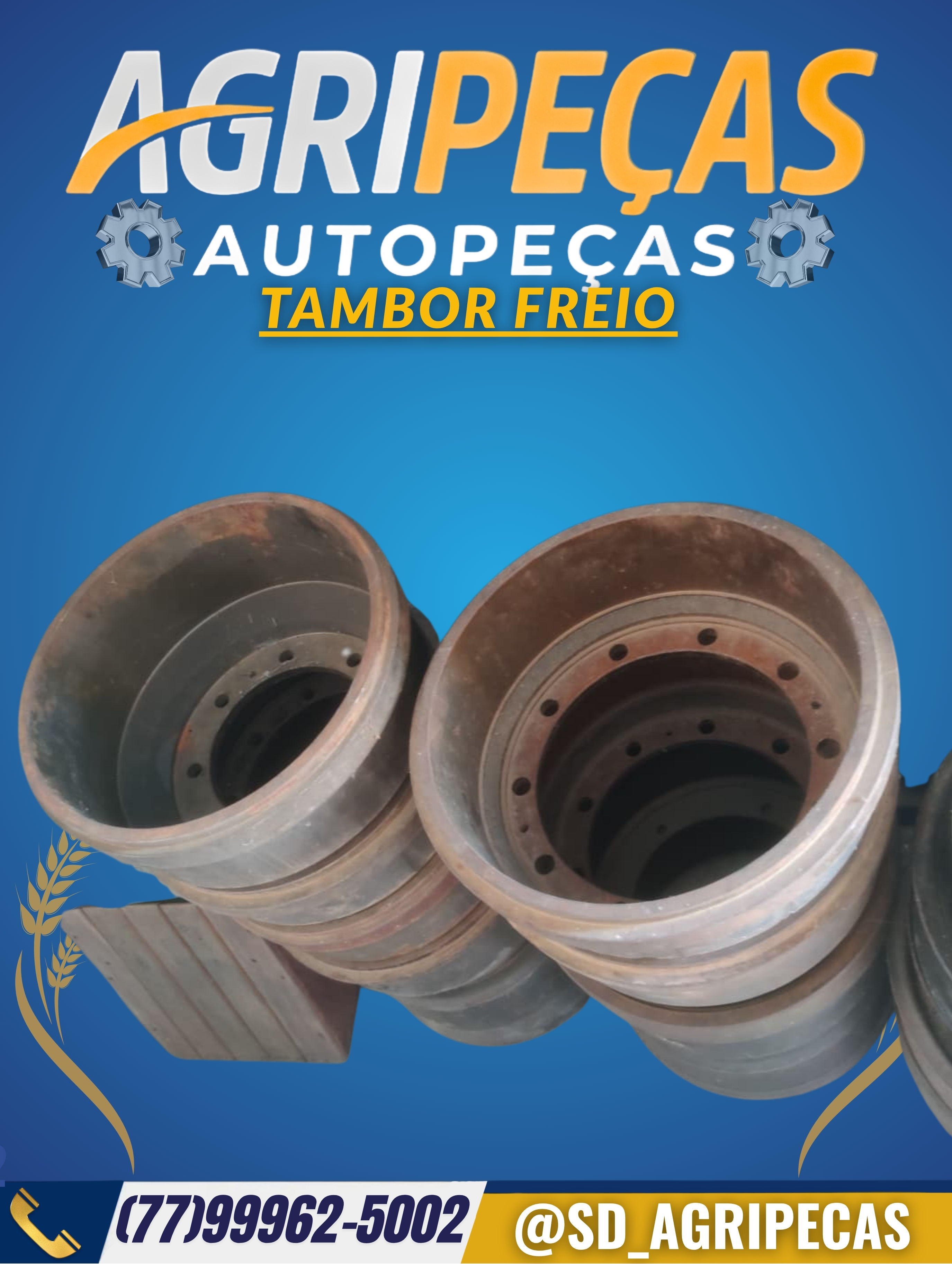 TAMBOR FREIO